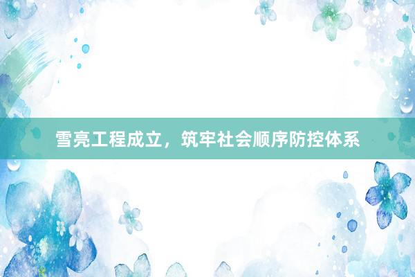 雪亮工程成立，筑牢社会顺序防控体系