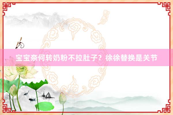 宝宝奈何转奶粉不拉肚子？徐徐替换是关节